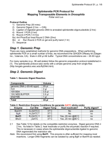 Splinkerette PCR for P-elements