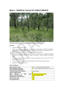 Tropical Eucalypt Open Forests - Department of the Environment