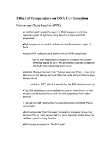 Effect of Temperature on DNA Conformation