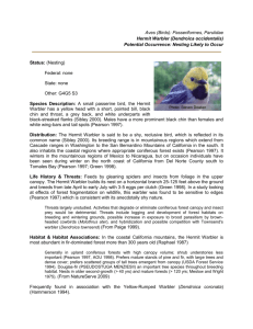 Aves (Birds): Passeriformes, Parulidae Hermit Warbler (Dendroica