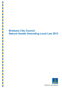 Natural Assets Amending Local Law 2013