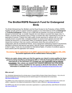 The RSPB/BirdFair Research Fund for Endangered Birds logos