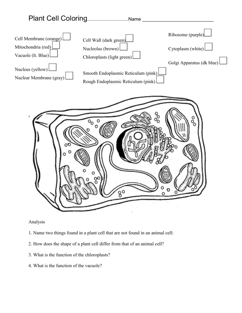 Plant Cell Coloring Intended For Animal Cell Coloring Worksheet