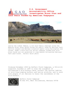 Briefing_Paper_GAO - Buffalo Field Campaign