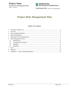 Project Risk Management Plan Template