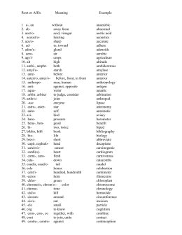 Root or Affix Meaning Example Your Word Root or Affix Meaning