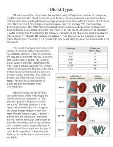 Blood is a complex, living tissue that contains many cell types and