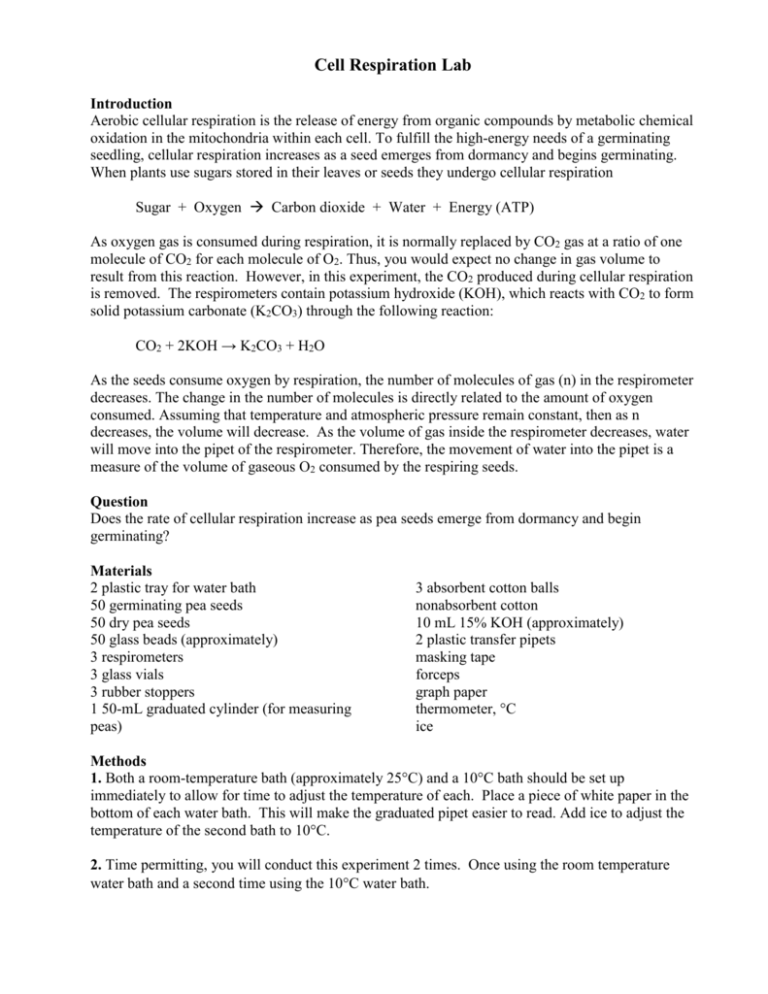 Cell Respiration Lab Handout