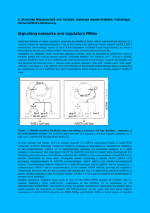 Signalling networks and regulatory RNAs