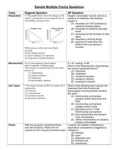 Sample Multiple Choice Questions