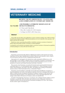 use of amoxycillin + clavulanic acid combination in veterinary