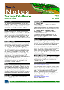 Toorongo Falls Reserve - Department of Environment, Land, Water