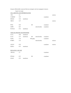 supplementary information (doc 50K)