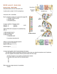 Nucleic Acids, DNA Replication, Protein Synthesis