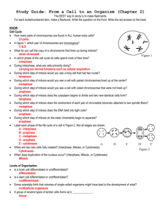 Chapter 2 Test Study Guide - From a Cell to an Organism