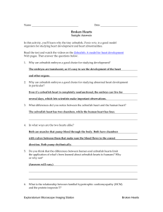 student pages with sample answers