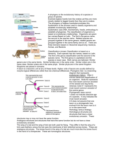 Phylogeny and Cladedistics