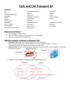 Cells and Cell Transport #3 Vocabulary cell tissue cell membrane