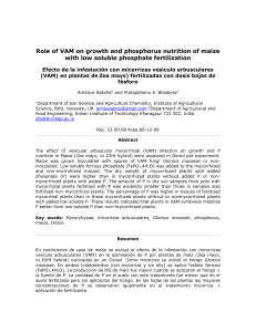 Role of VAM on growth and phosphorus nutrition of maize with low