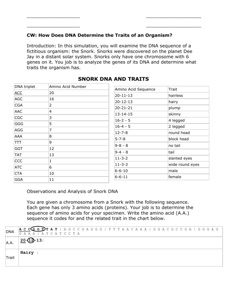 CW How Does DNA Determine The Traits Of An Organism