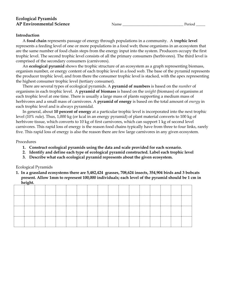 Ecological Pyramids Throughout Ecological Pyramids Worksheet Answer Key