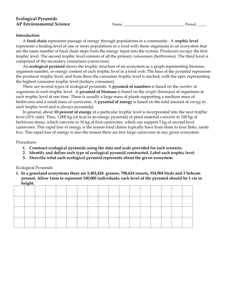 Ecological Pyramids With Ecological Pyramids Worksheet Answers