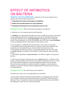bsaa effect of antibiotics worksheet