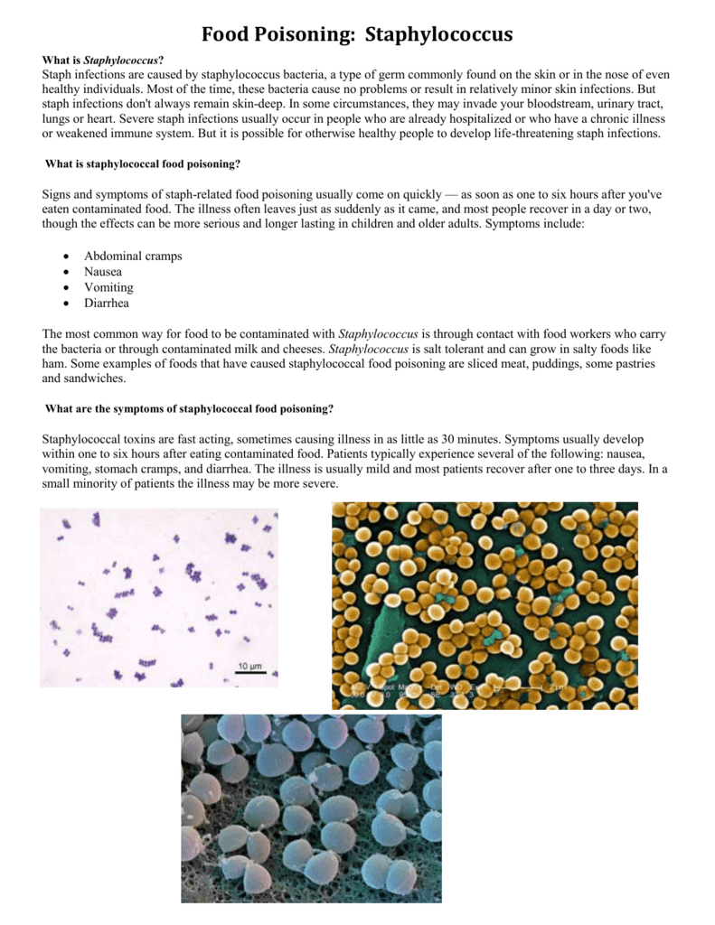 food-poisoning-staphylococcus