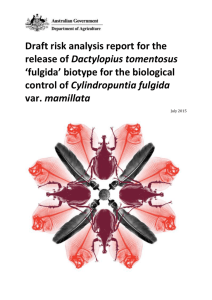 Draft risk analysis report for the release of Dactylopius tomentosus