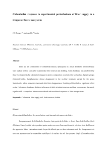 Collembolan response to experimental perturbations of litter supply