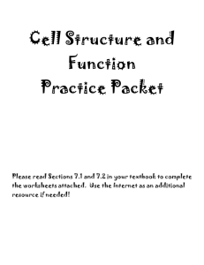 HW #3: Functions of Cell Organelles