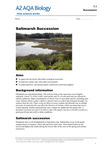 HW Saltmarsh succession challenge