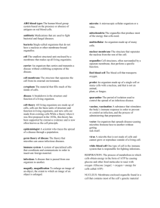 Unit C Vocabulary Words Document