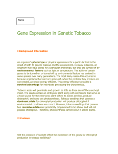 Gene Expression in Genetic Tobacco