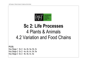 4.2 Variation and Food Chains