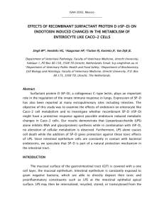 EFFECT OF RECOMBINANT SURFACTANT PROTEIN D (rSP