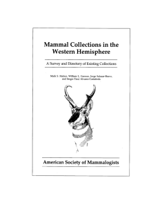 Mammal Collections in the Western Hemisphere