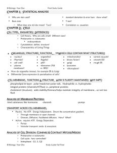 Characteristics of Living Things (Essay