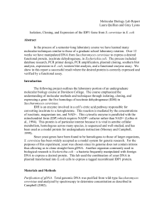 Molecular Biology Lab Report - Biology Department