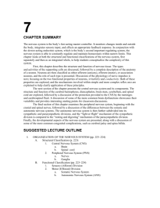 Chapter 7 Outline - Navarro College Shortcuts