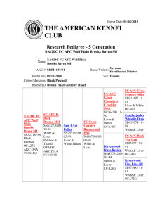Report Date: 01/08/2013 THE AMERICAN KENNEL CLUB