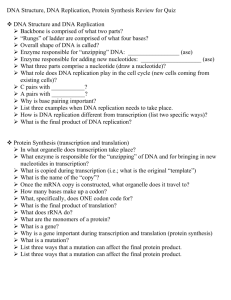 DNA Structure, DNA Replication, Protein Synthesis Review for Quiz