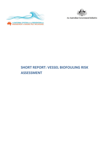 Short Report: Vessel Biofouling Risk Assessment