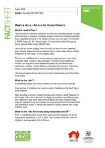 Hendra virus – Advice for Horse Owners