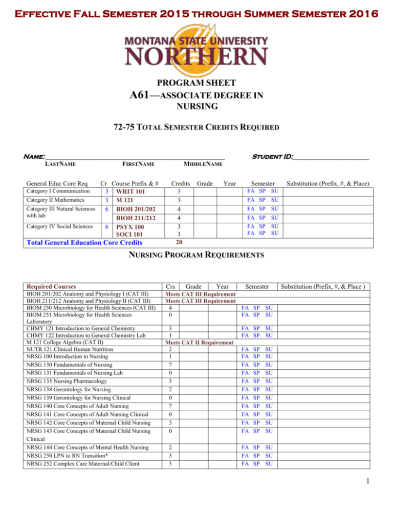 Nursing Program Requirements