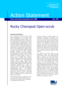 Rocky Chenopod Open-scrub accessible