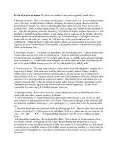 Levels of protein structure: