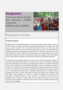 CBDRR_Programme summary