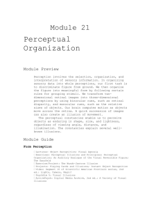 Module 21 Perceptual Organization Module Preview Perception