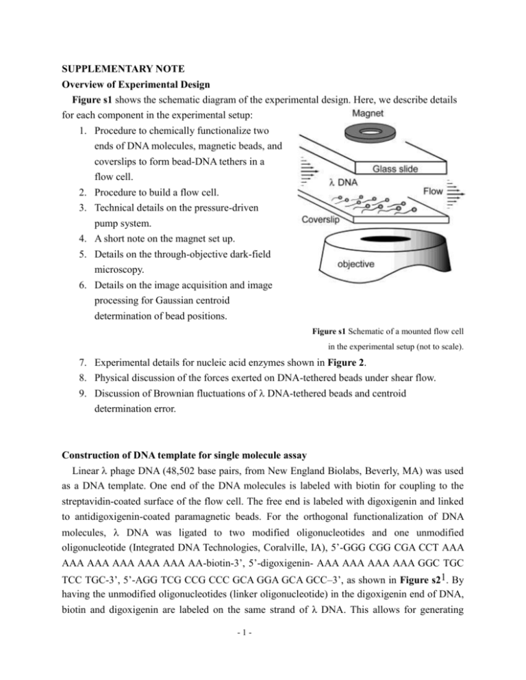 supplementary-note